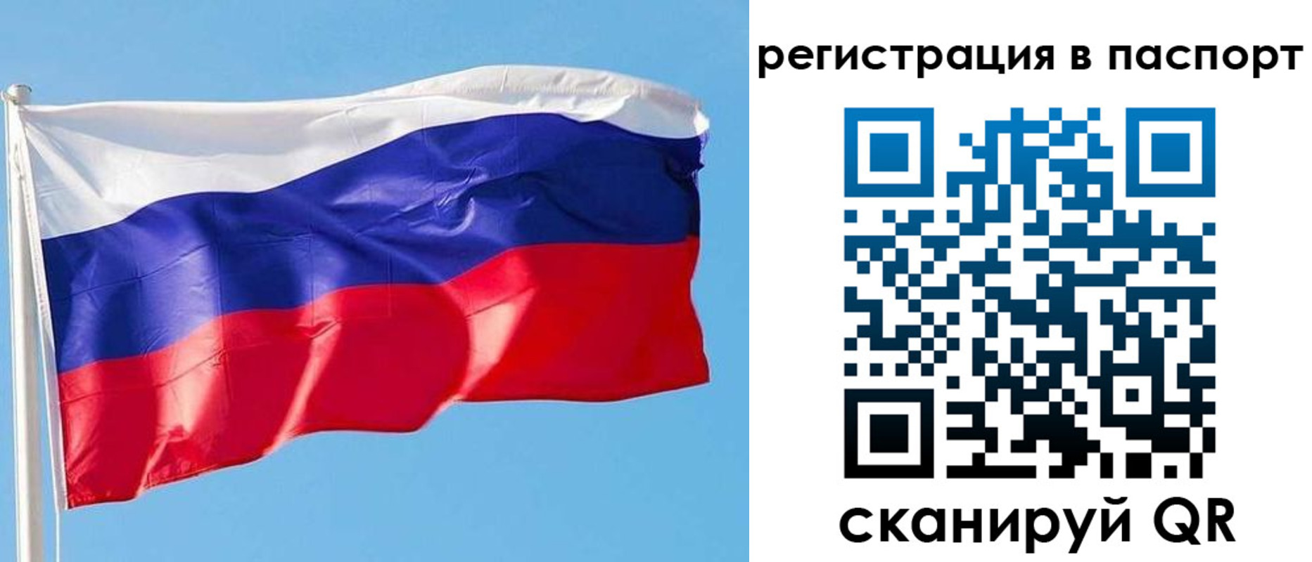 прописка законно в Железногорск-Илимском